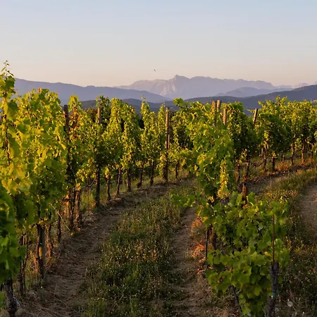 Tenuta Perusini Farm stay
