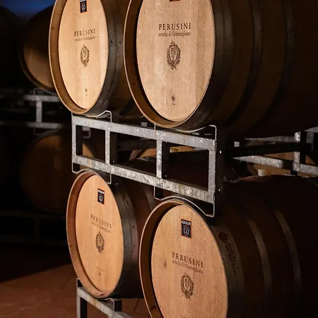 Tenuta Perusini 팜스테이 *