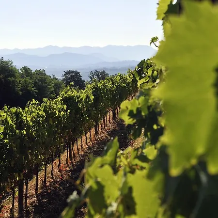 Tenuta Perusini * Corno di Rosazzo