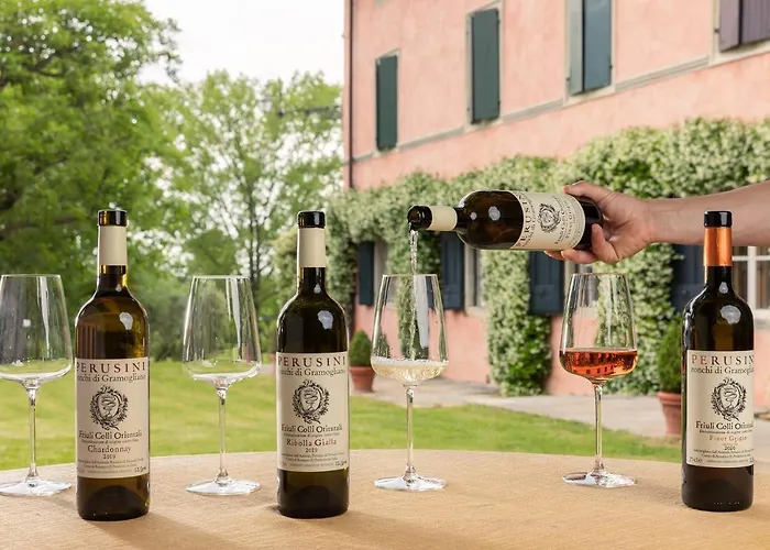 Tenuta Perusini Κατάλυμα σε φάρμα