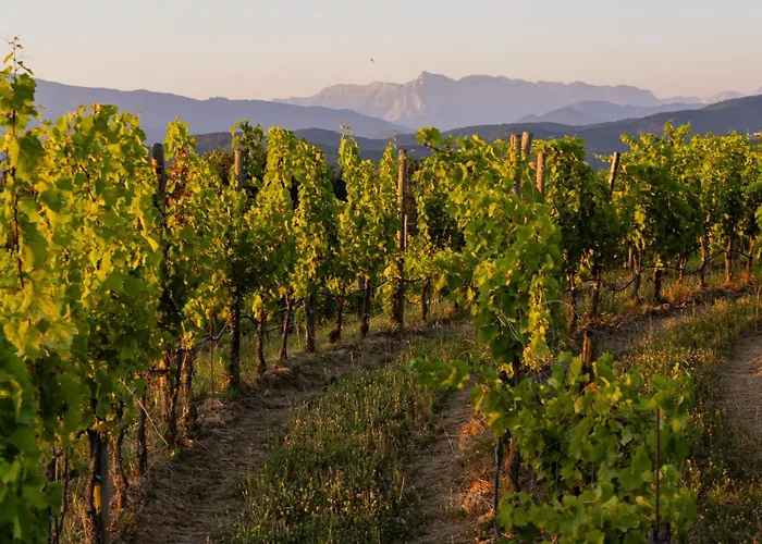 Tenuta Perusini Κατάλυμα σε φάρμα